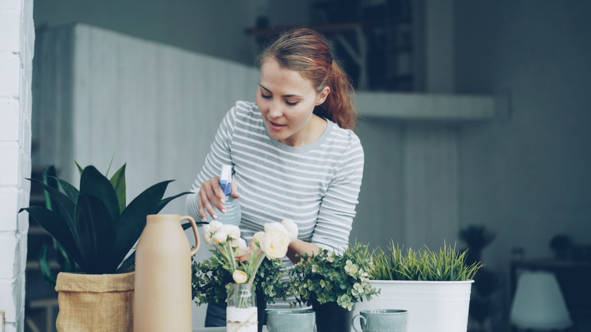 step-by-step plant care instructions on white surface