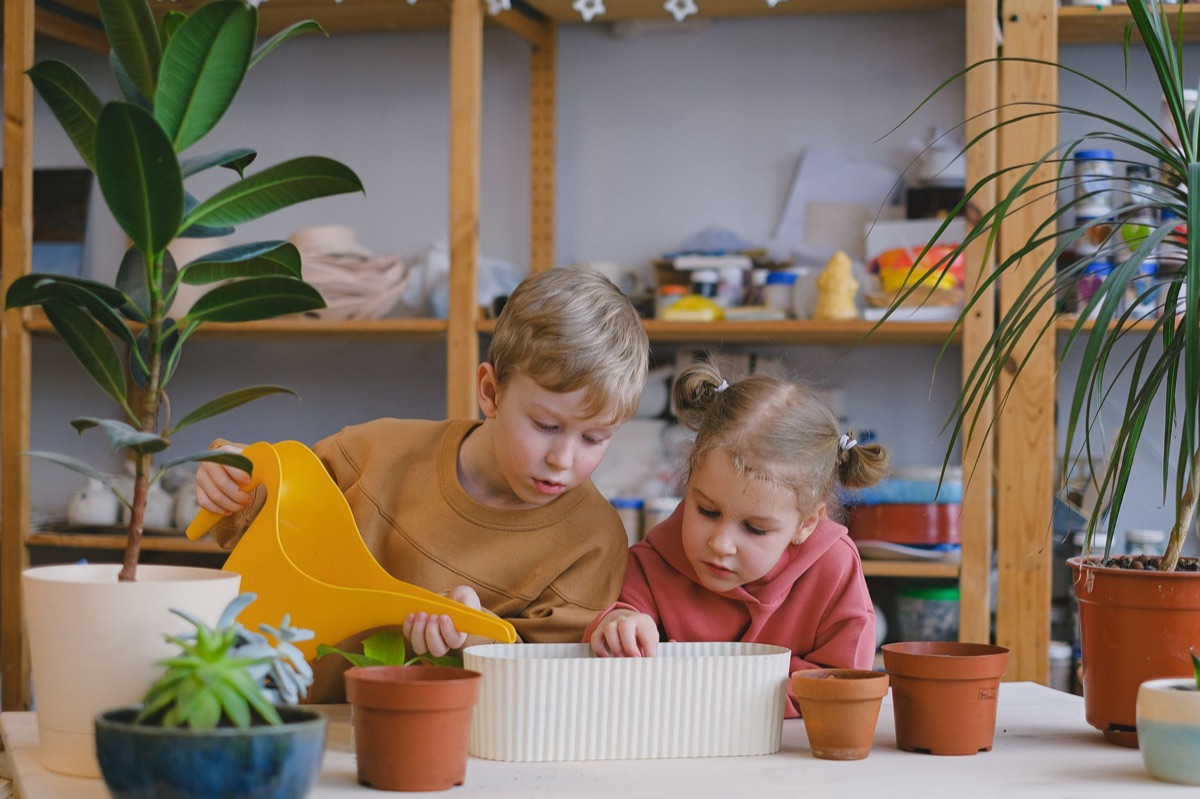 watering pot with plant