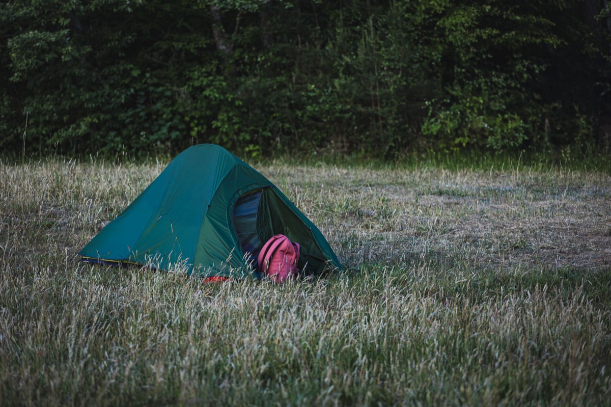 Minimal camping tent in forest