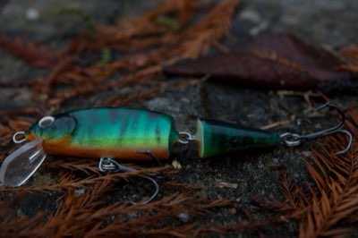 Freshwater Fishing: Start Your Journey Under $50 Today