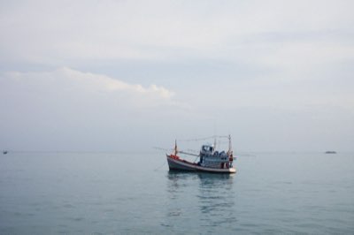 Visvijver of meer: Vind je ideale plek voor je eerste vangst