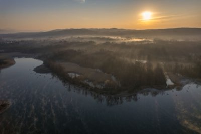 Von Entspannung zur Jagd: Süßwasserangeln für jeden Anspruch