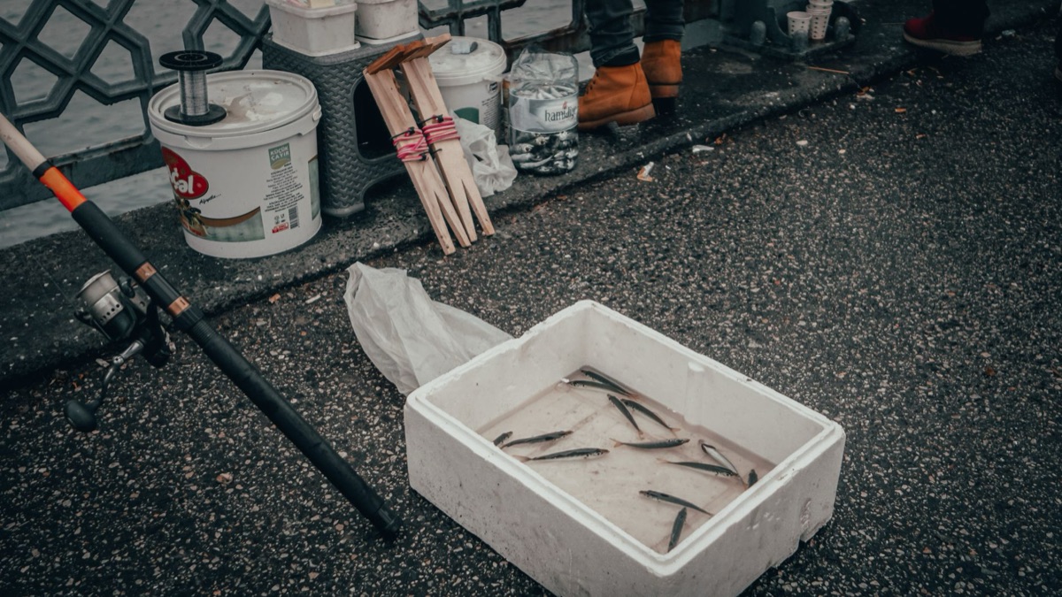 魚竿與釣具箱