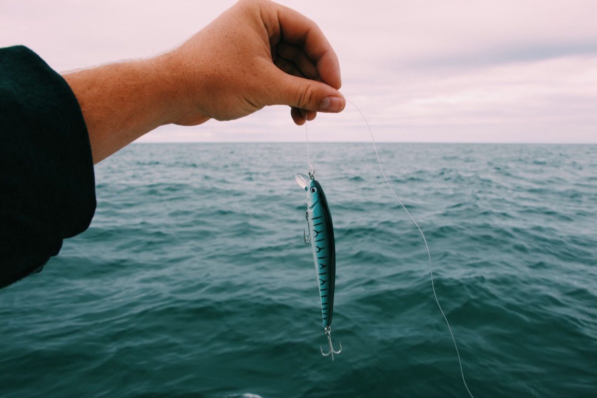 魚線與魚鈎