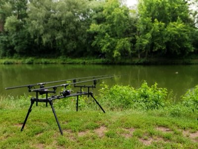 Freshwater Fishing: Beginner's Guide to Gear & Technique