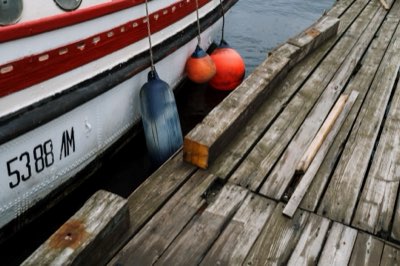 Freshwater Fishing: Beginner's Guide to Gear & Technique