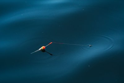 Einsteiger-Fliegenfischen: Die perfekte Ausrüstung für Ihren