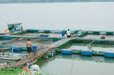Attrezzatura pesca: guida per principianti su laghi e fiumi dolci