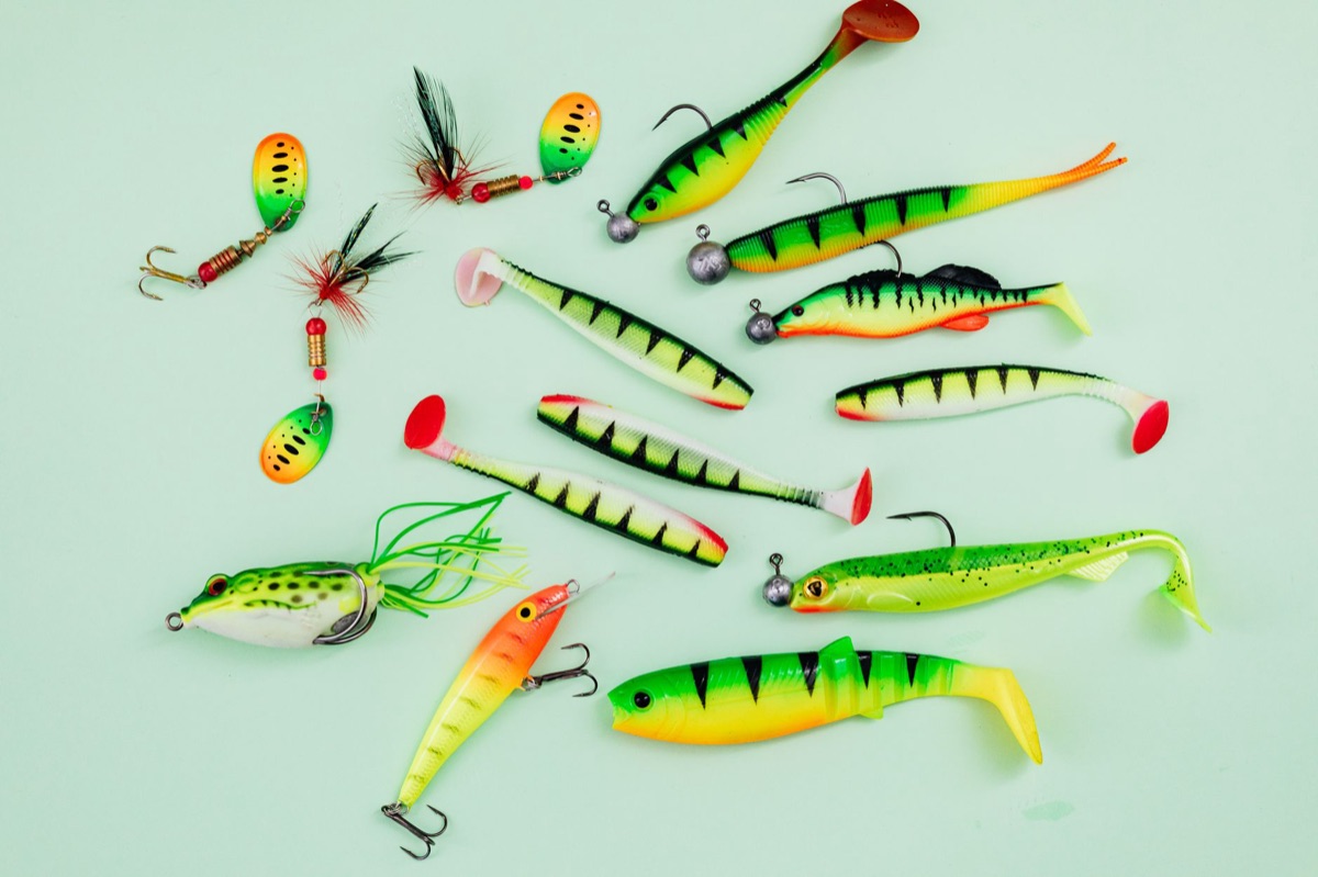 Selectie van de juiste visgerei voor beginners