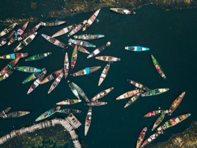 淡水釣魚入門指南：從零到高手養成您的釣魚技能完整指南